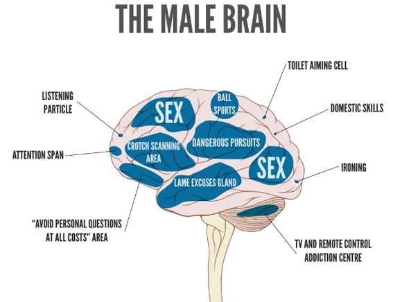 Men Are What Brain 35