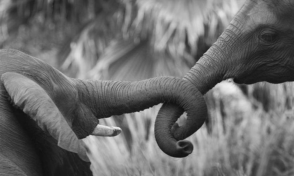 How to Go on a Zoo Date | WeLoveDates