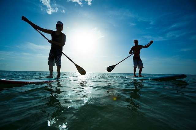 Paddle boarding_Sydney