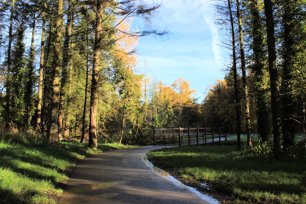 Newtownabbey Way