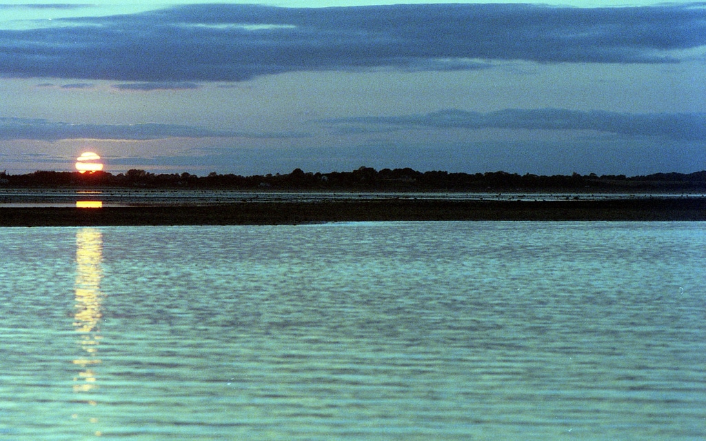 Louth Photo 6