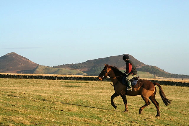 Adventure date - horse riding - Joburg