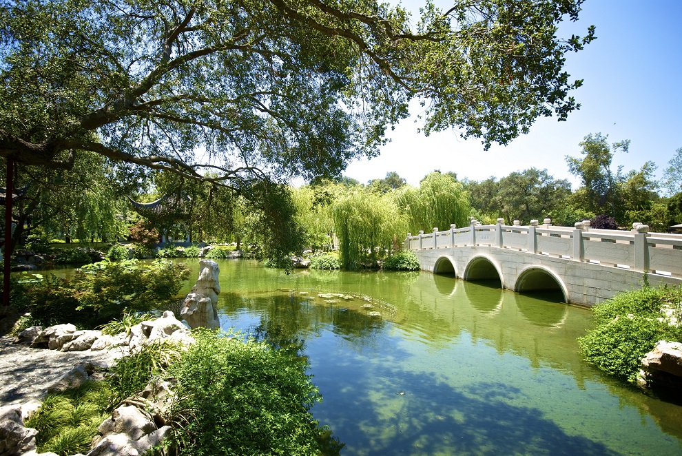 Huntington Library and Gardens