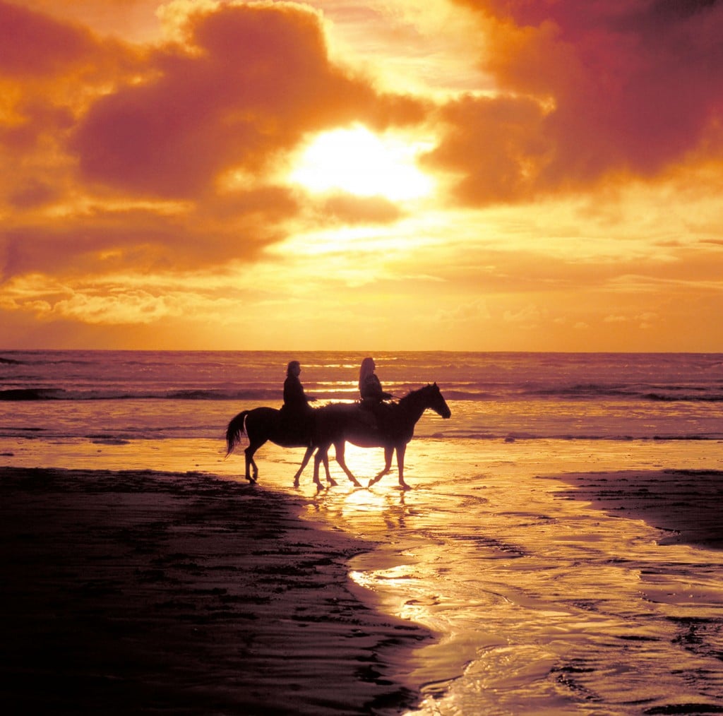 Durban - horseback sunset