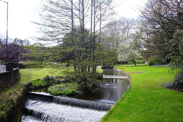 Endcliffe Park_Sheffield