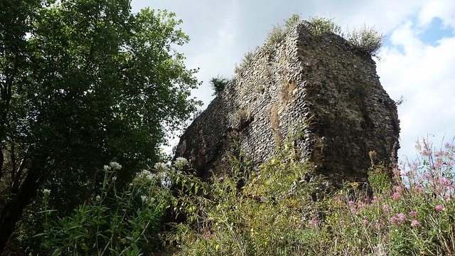 Reading Abbey_Reading