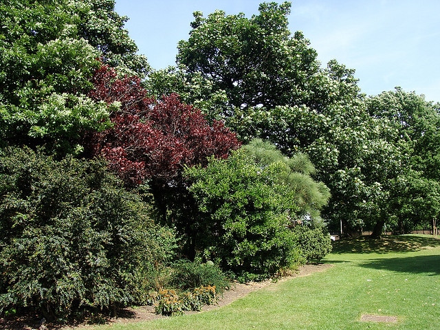 stanley park_liverpool