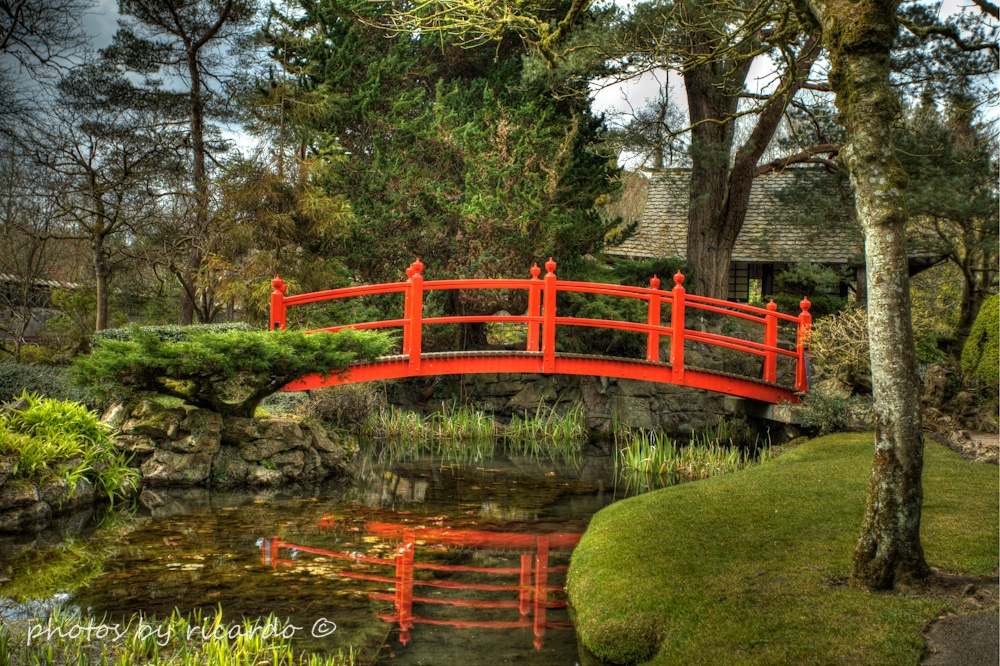 Kildare Photo 2