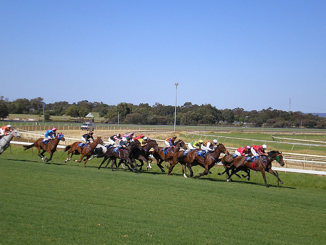 Racecourse_Perth