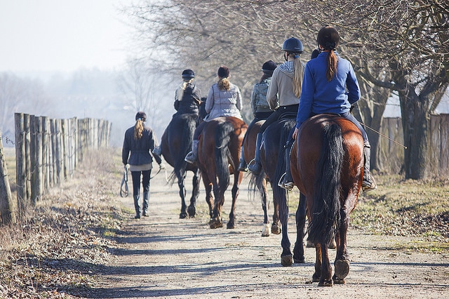 Horse Riding_Windsor