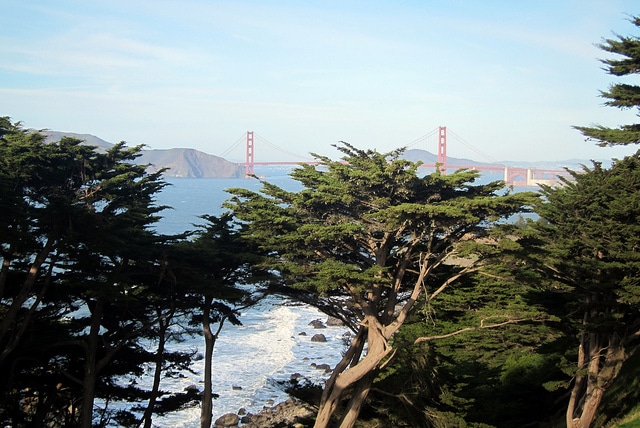 Lands End_San Francisco