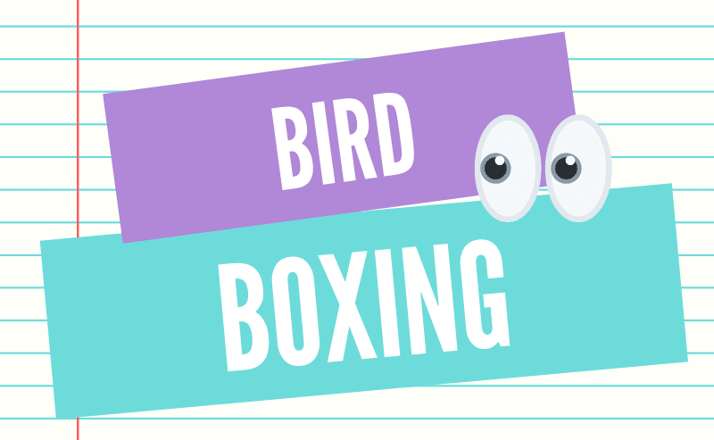 bird boxing